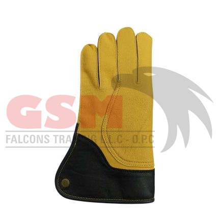 Falconry Foodie Gloves