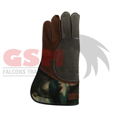 Falconry Foodie Gloves