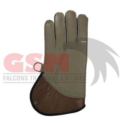 Falconry Foodie Gloves
