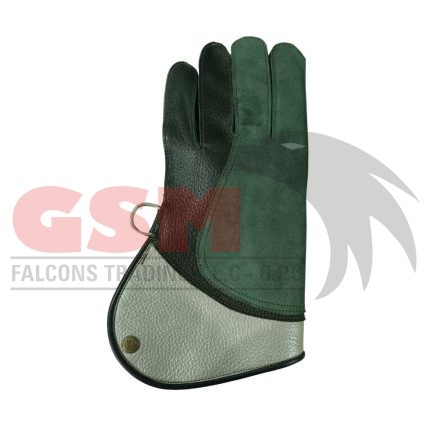 Falconry Foodie Gloves