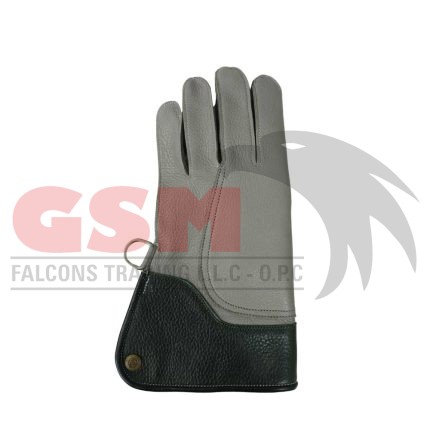 Falconry Foodie Gloves
