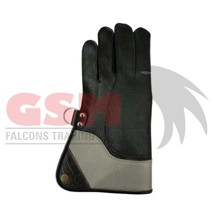 Falconry Foodie Gloves
