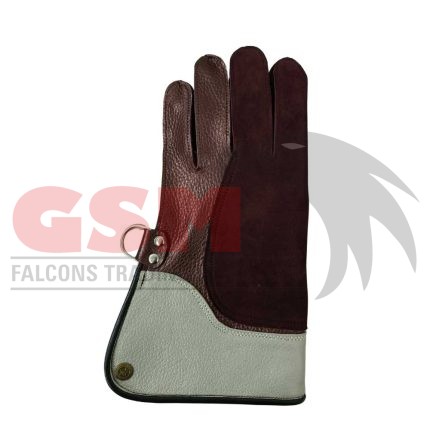 Falconry Foodie Gloves