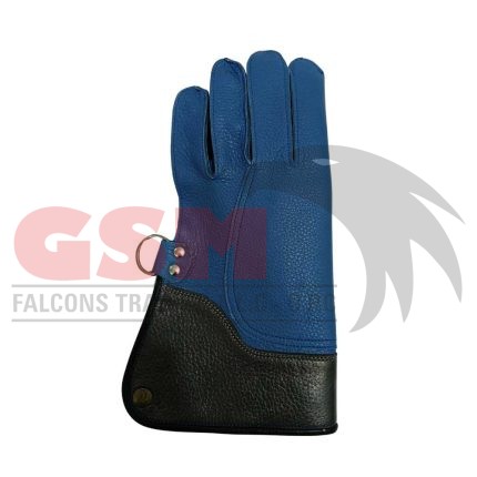 Falconry Foodie Gloves