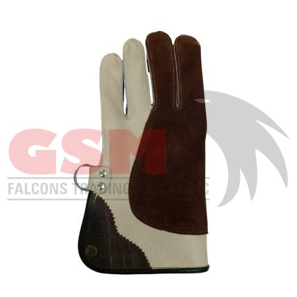 Falconry Foodie Gloves