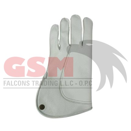 Falconry Foodie Gloves