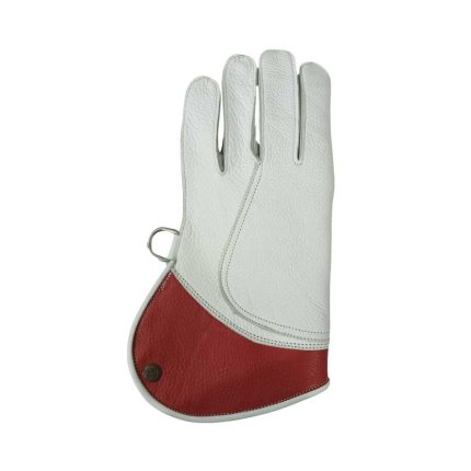 Falconry Foodie Gloves