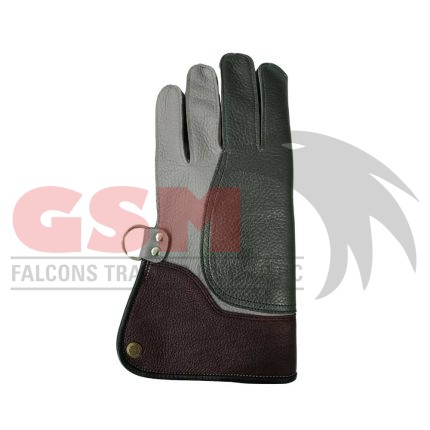 Falconry Foodie Gloves