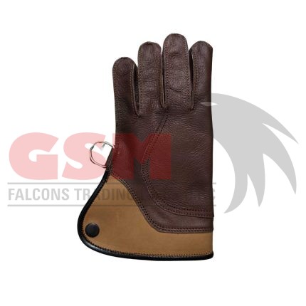 Falconry Foodie Gloves