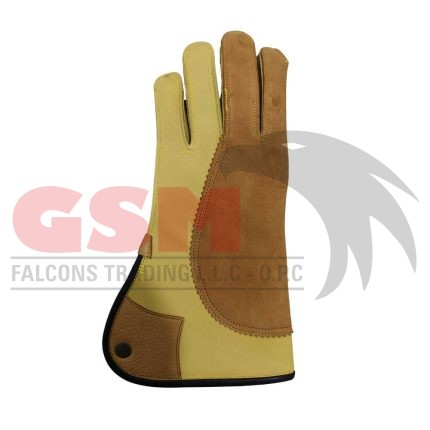 Falconry Foodie Gloves