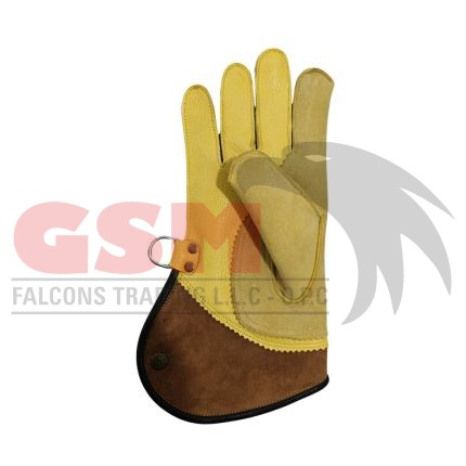 Falconry Foodie Gloves