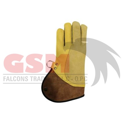 Falconry Foodie Gloves