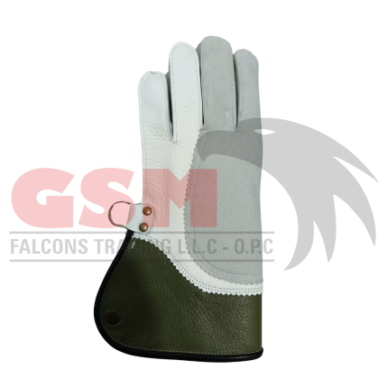 Falconry Foodie Gloves