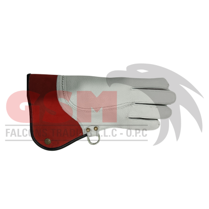 Falconry Foodie Gloves