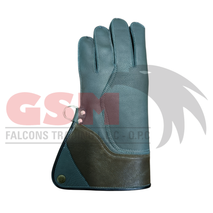 Falconry Foodie Gloves