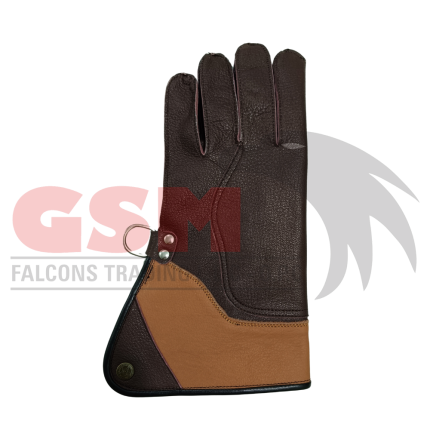 Falconry Foodie Gloves