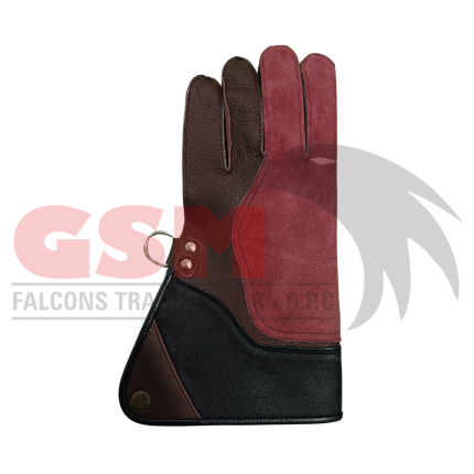 Falconry Foodie Gloves