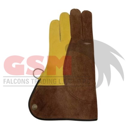 Falconry Foodie Gloves
