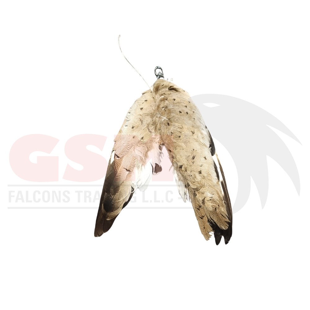 Tilwa Tilwa - Image 1